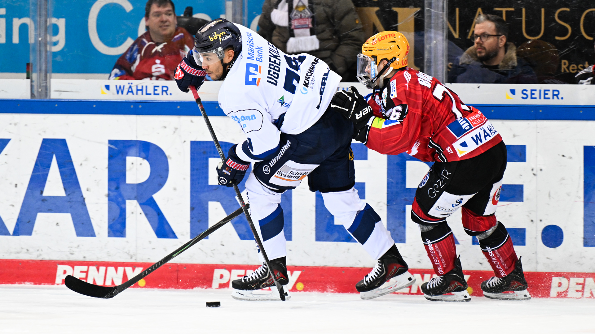 Pinguins Bremerhaven gg. Iserlohn Roosters